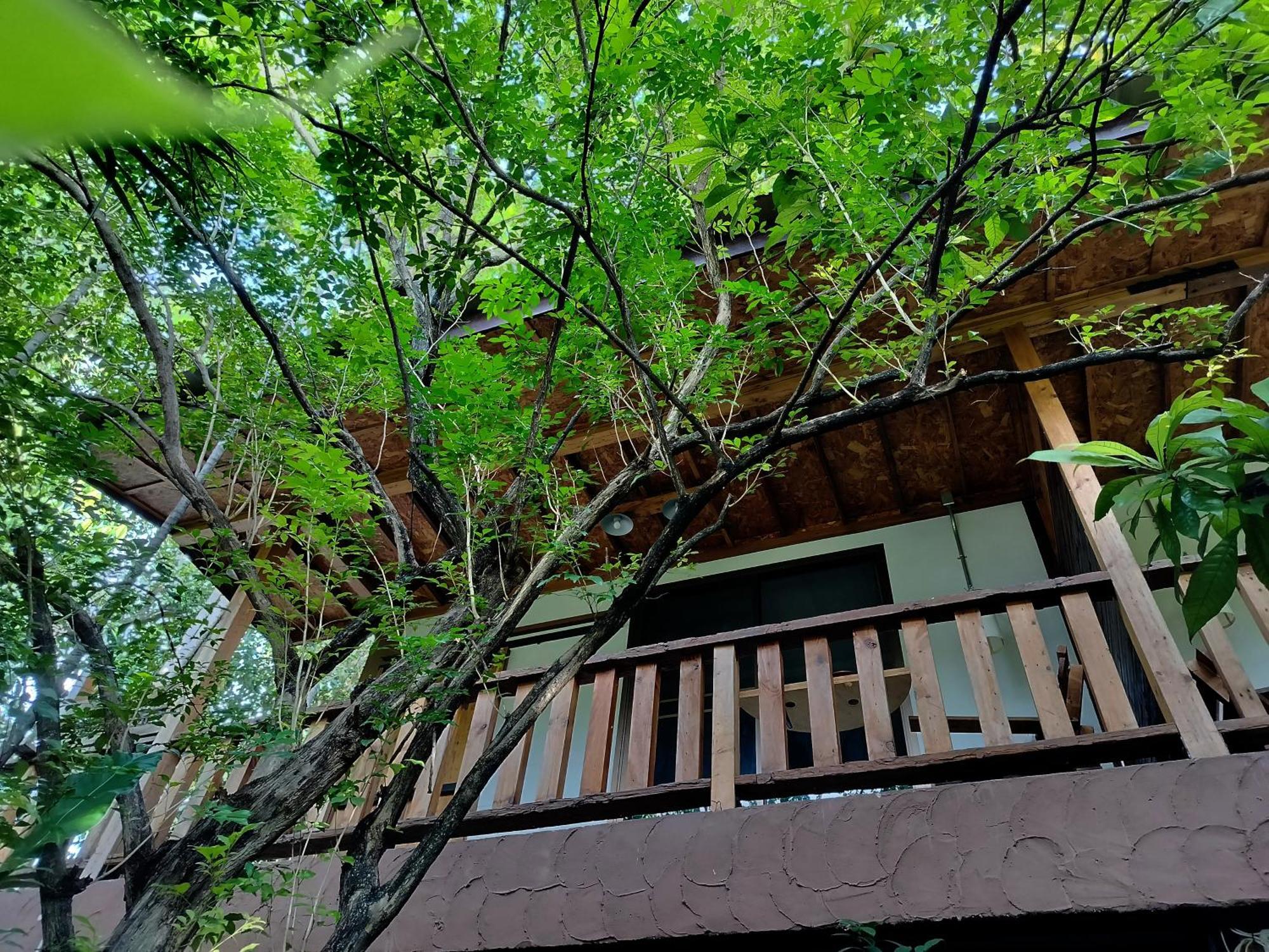 Aparthotel Oldy De Garden Chiang Mai Exterior foto