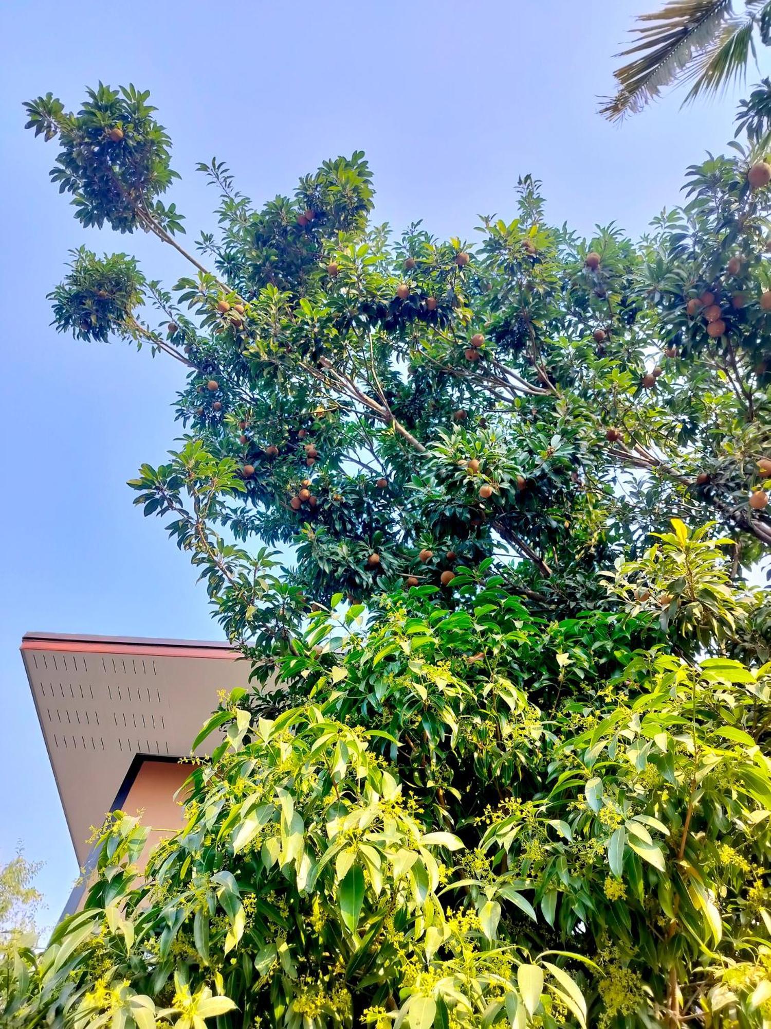 Aparthotel Oldy De Garden Chiang Mai Exterior foto